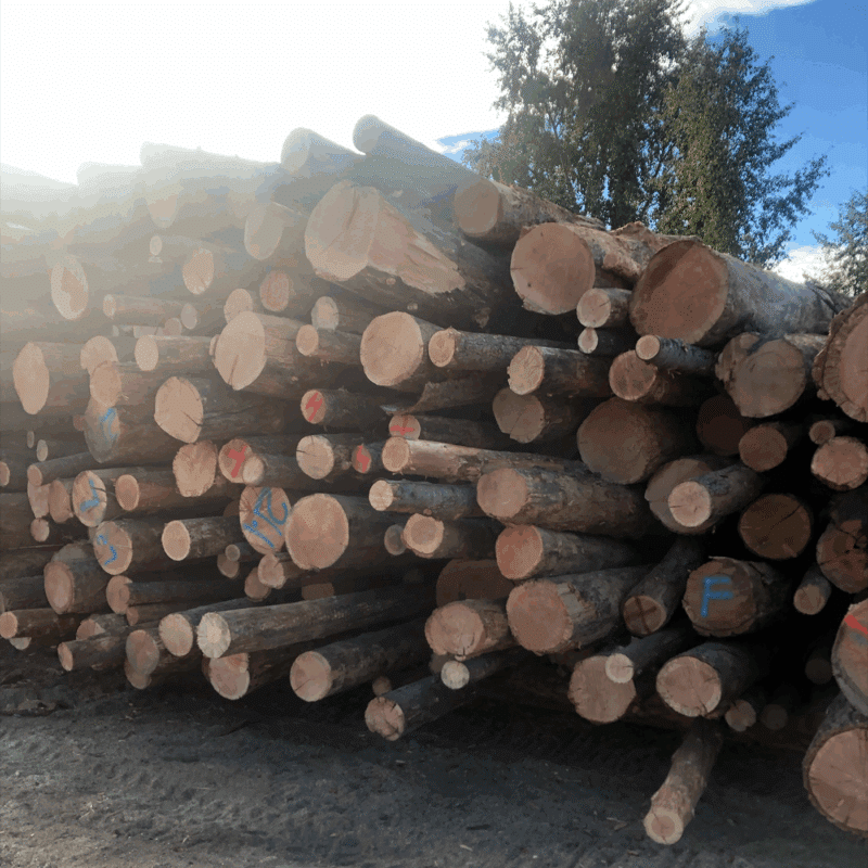 Cord of fir firewood stacked neatly, available for purchase 24/7, showcasing its natural texture and color.