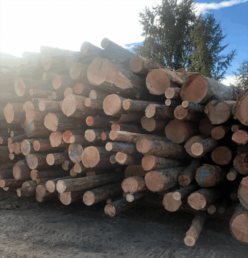 Cord of fir firewood stacked neatly, available for purchase 24/7, showcasing its natural texture and color.